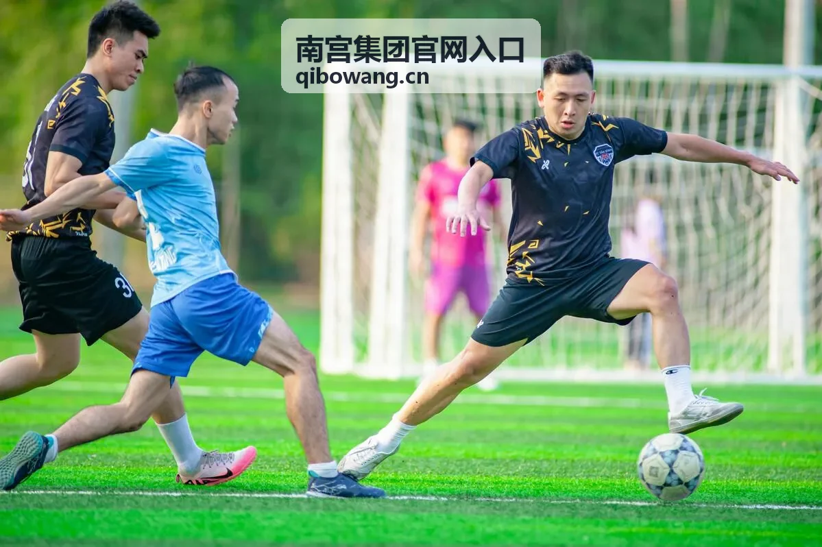南宫集团官网入口的分类索引卡片